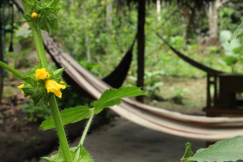 تارابوتو Shimiyacu Amazon Lodge المظهر الخارجي الصورة
