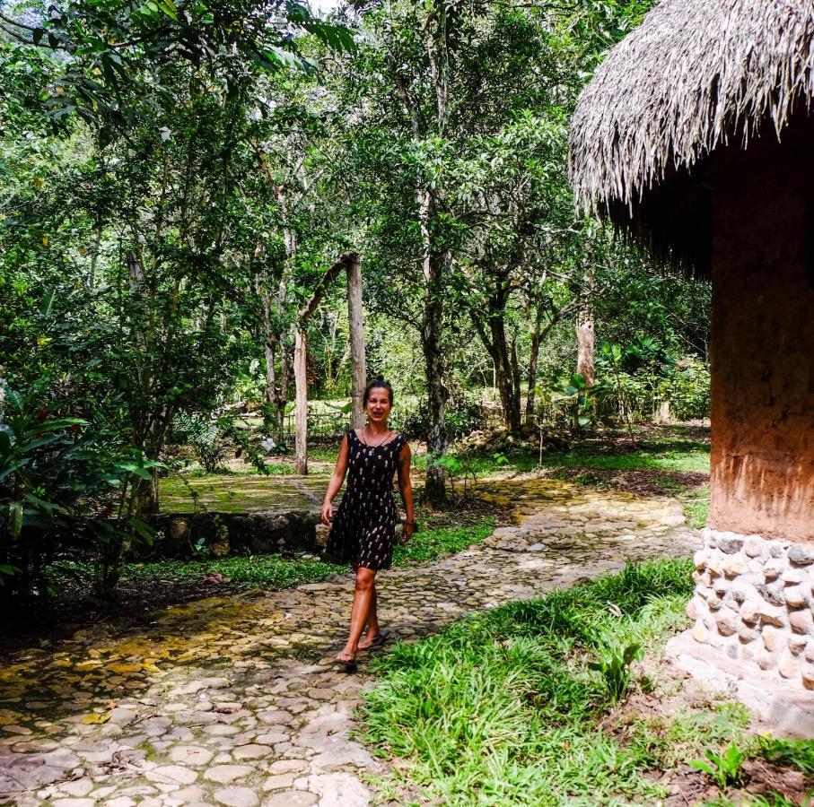 تارابوتو Shimiyacu Amazon Lodge المظهر الخارجي الصورة