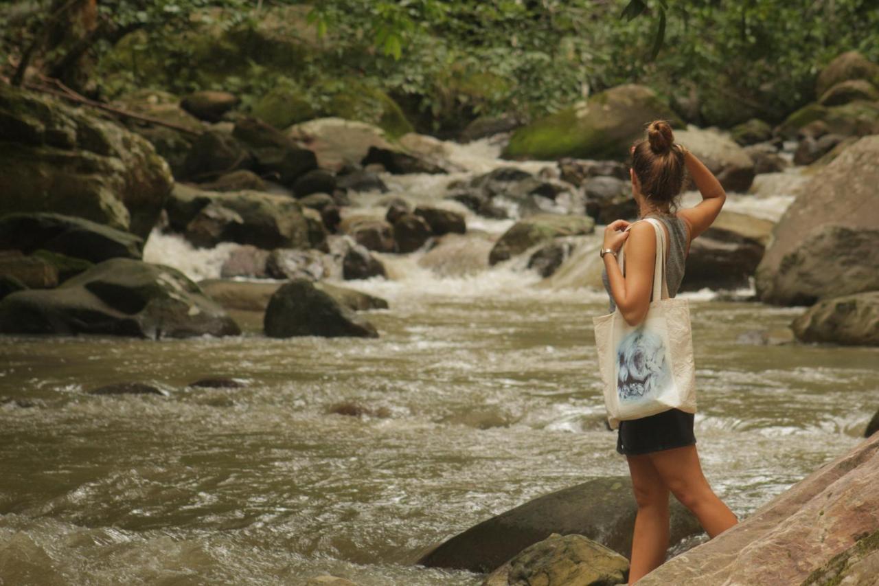 تارابوتو Shimiyacu Amazon Lodge المظهر الخارجي الصورة