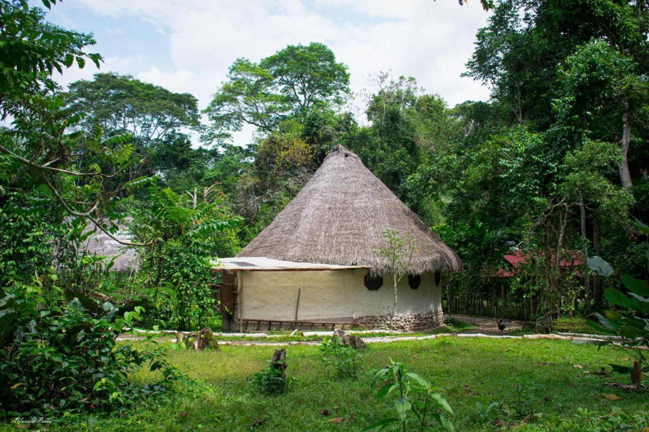 تارابوتو Shimiyacu Amazon Lodge المظهر الخارجي الصورة